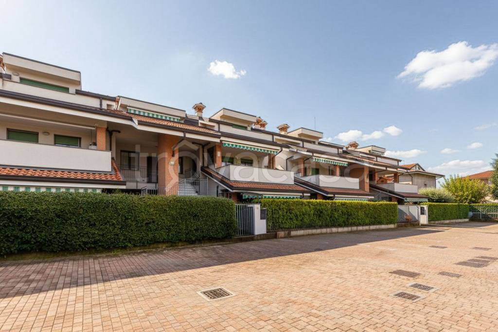 immagine annuncio 1 di 15