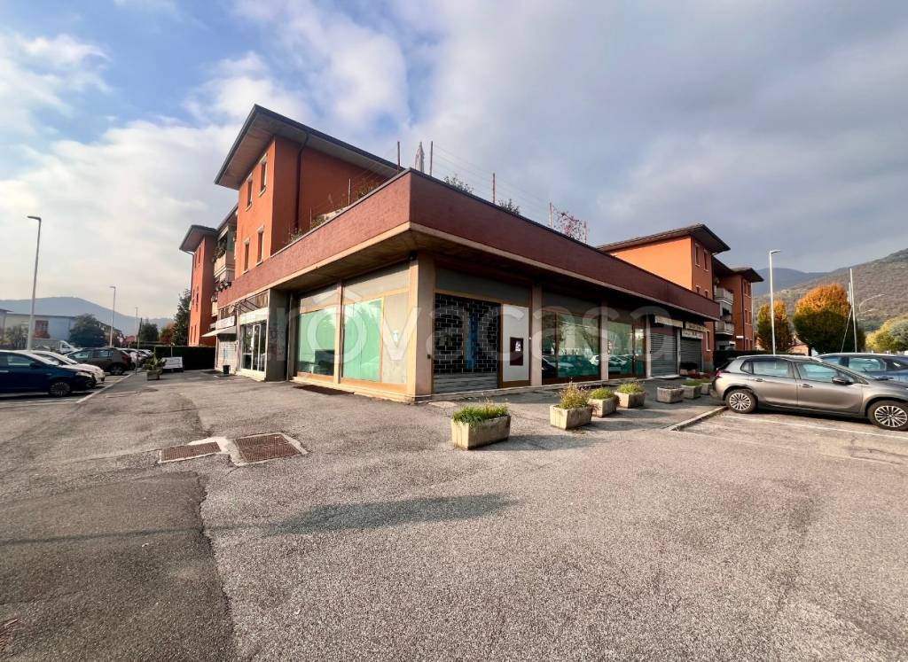 immagine annuncio 2 di 6