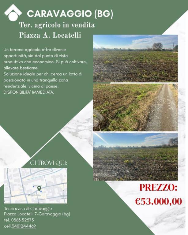 immagine annuncio 11 di 12