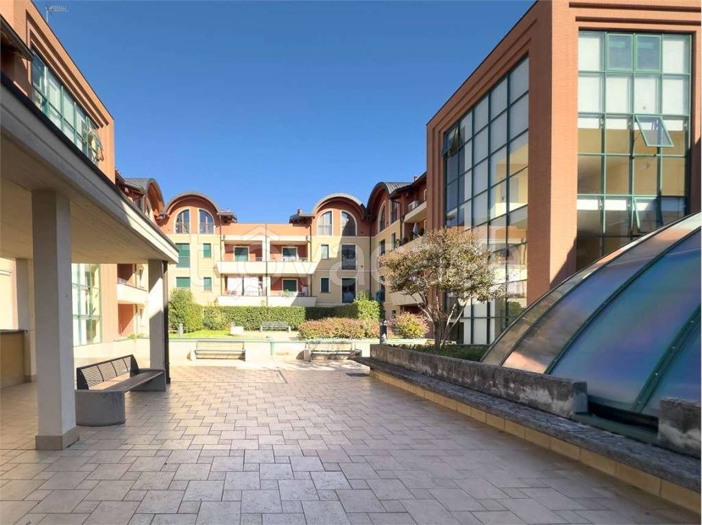 immagine annuncio 1 di 14