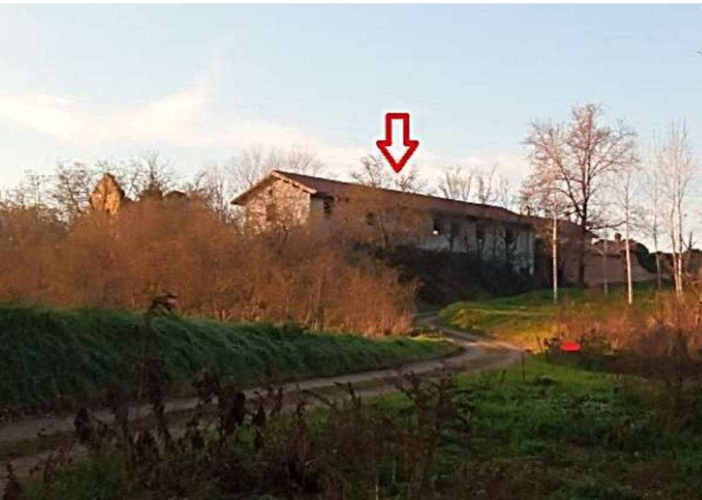 immagine annuncio 1 di 12