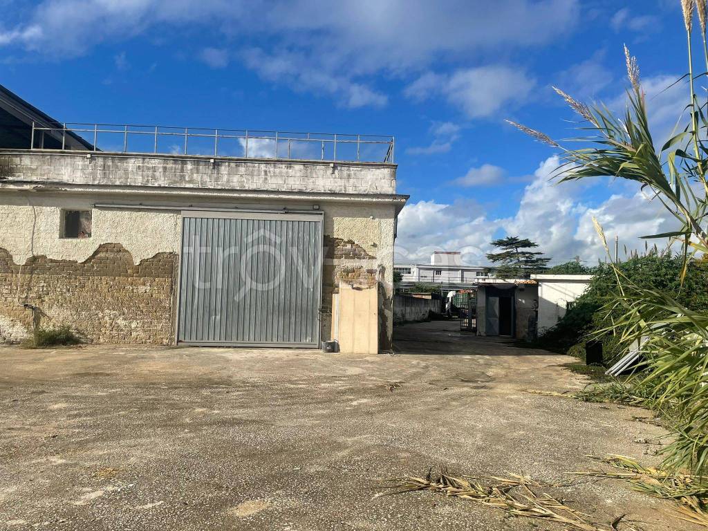 immagine annuncio 2 di 9