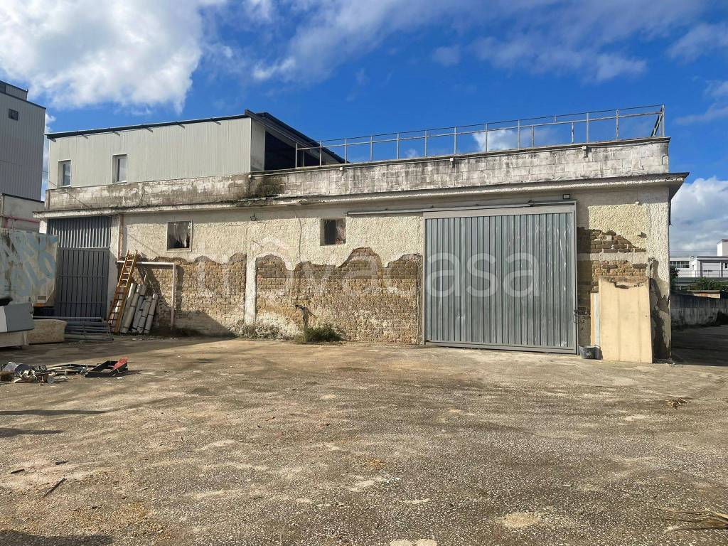 immagine annuncio 3 di 9