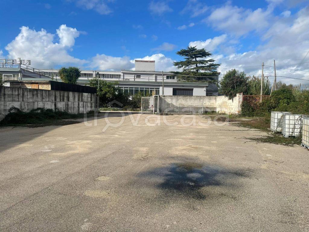 immagine annuncio 5 di 9