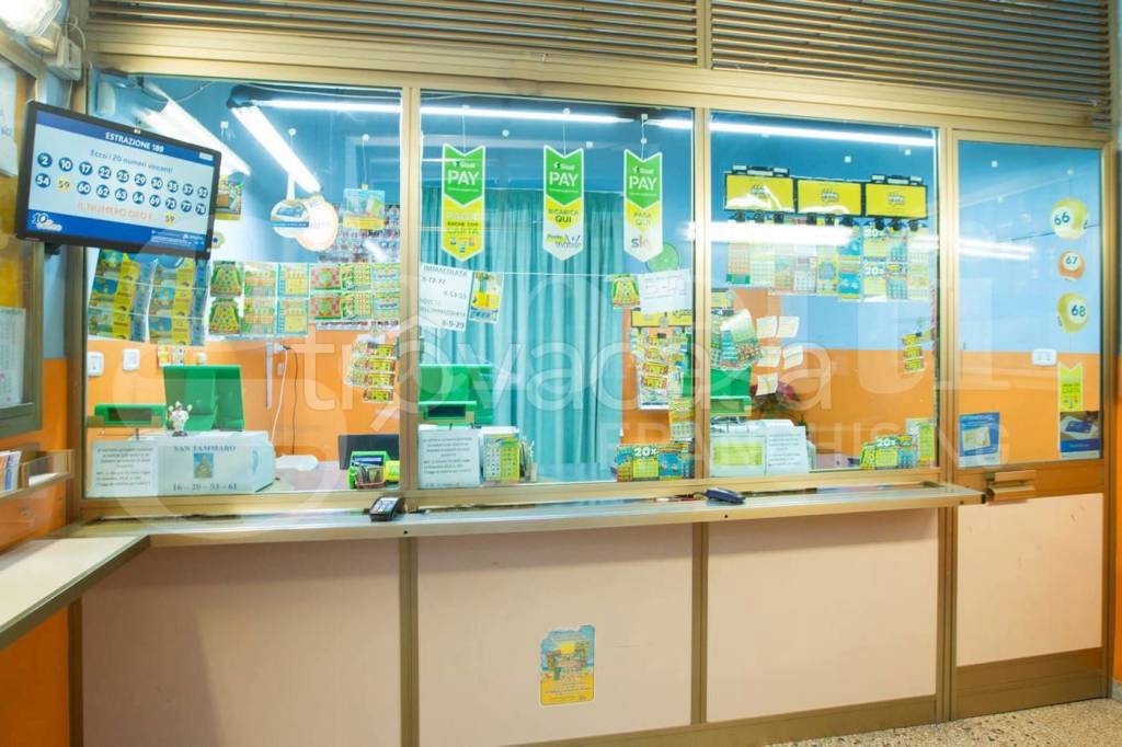 immagine annuncio 3 di 8