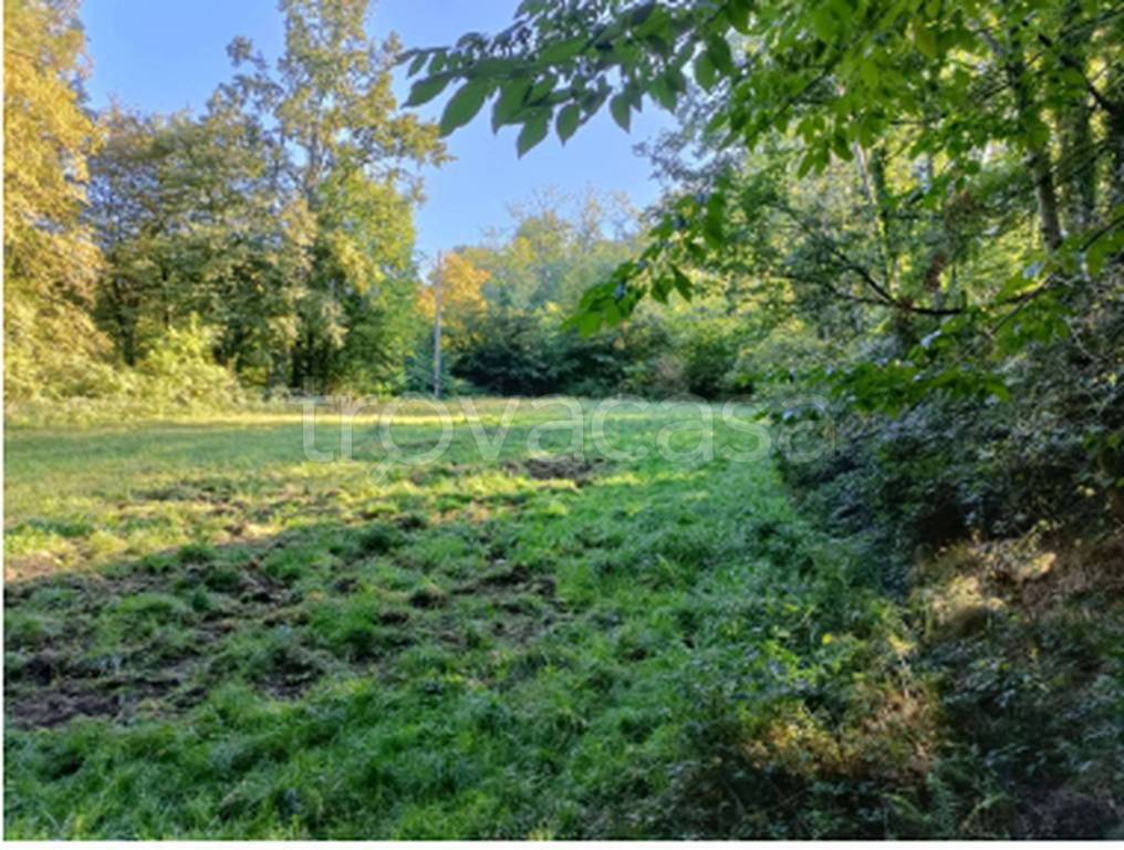 immagine annuncio 6 di 9