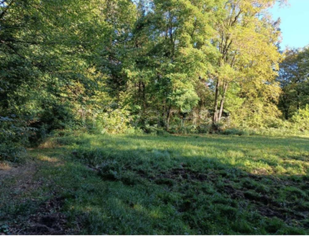 immagine annuncio 7 di 9