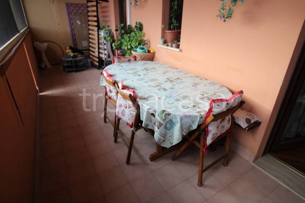 immagine annuncio 9 di 15