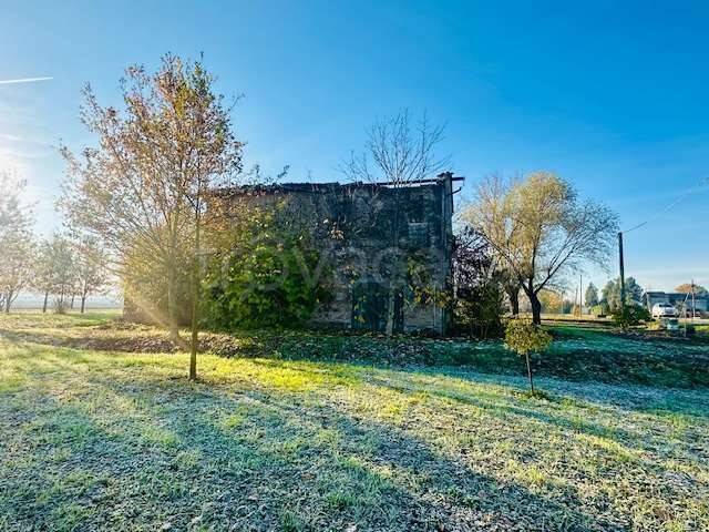 immagine annuncio 3 di 8