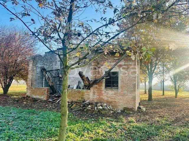 immagine annuncio 6 di 8