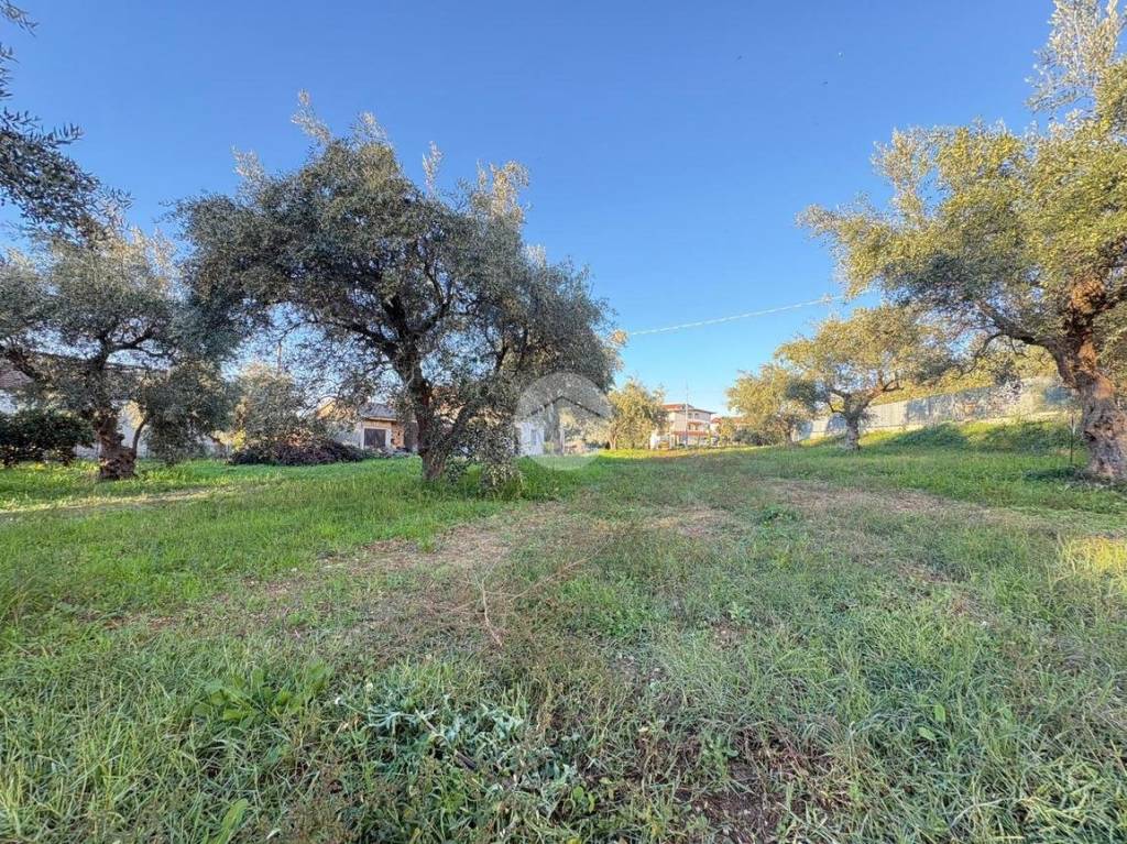 immagine annuncio 4 di 13