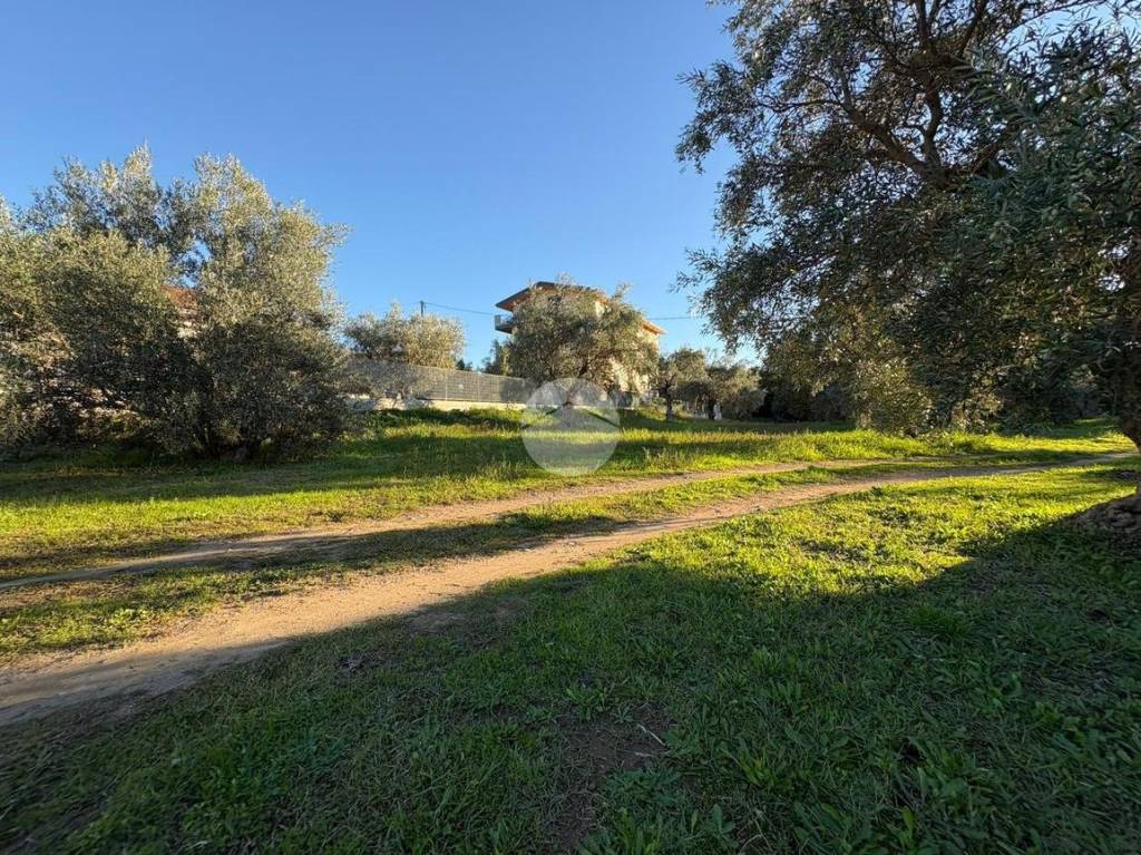 immagine annuncio 8 di 13