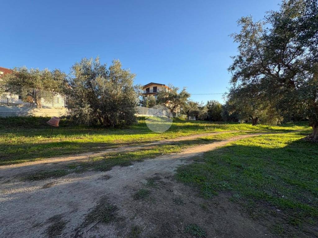 immagine annuncio 11 di 13