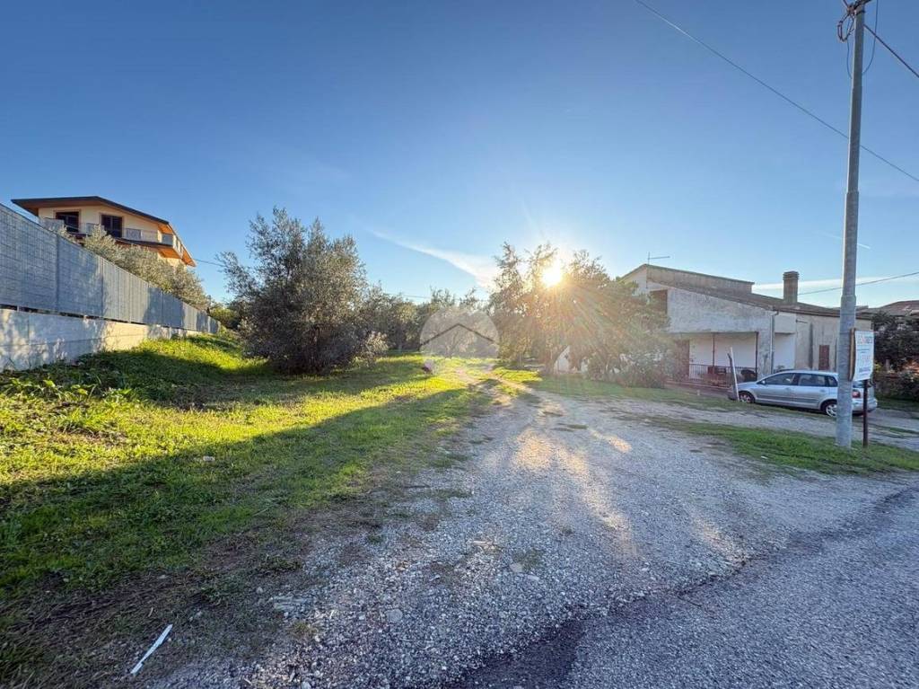 immagine annuncio 12 di 13