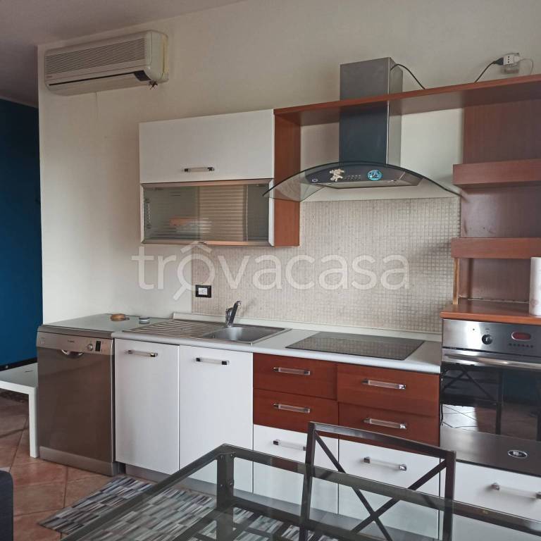 immagine annuncio 4 di 12