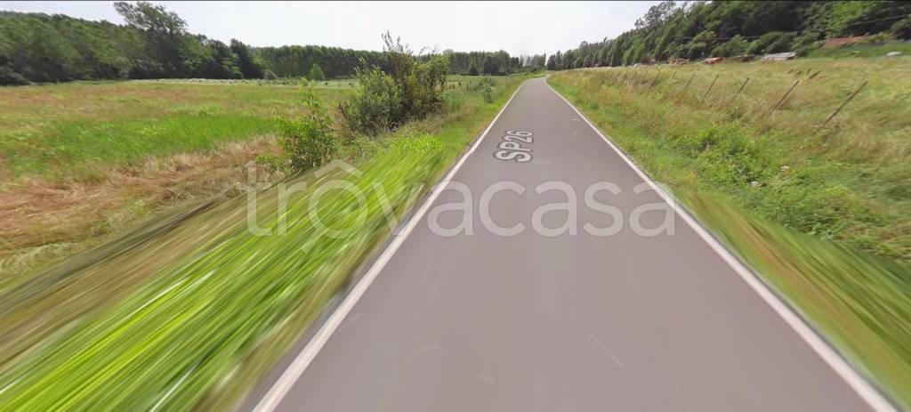 immagine annuncio 1 di 12