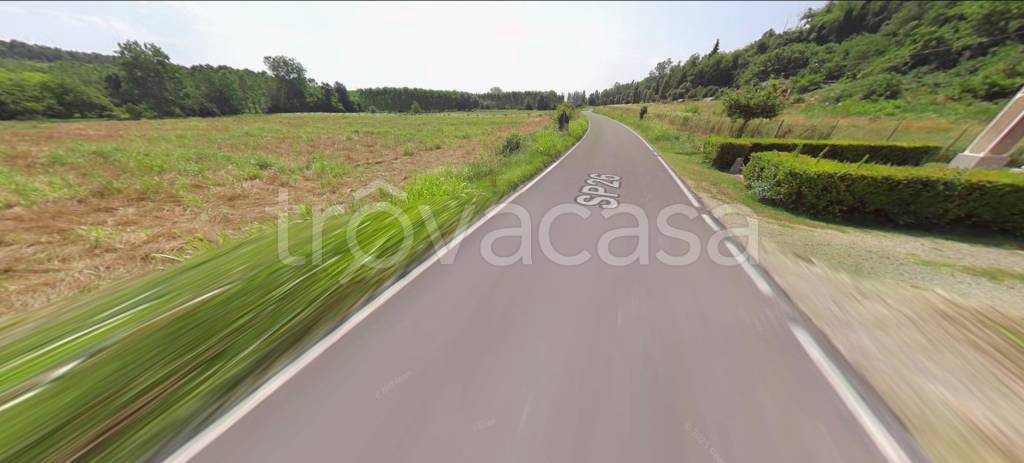 immagine annuncio 2 di 12