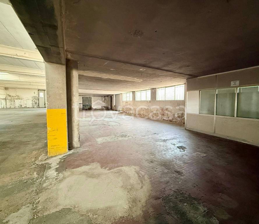 immagine annuncio 3 di 8