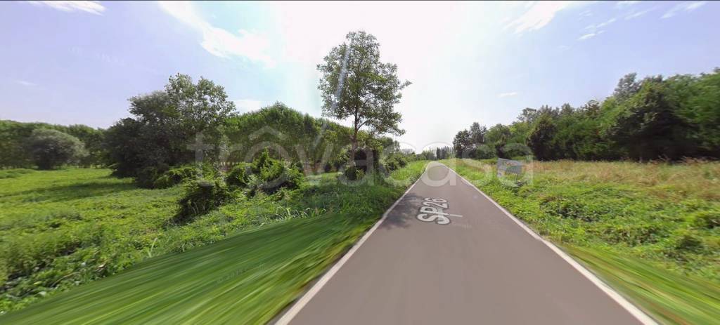 immagine annuncio 11 di 12