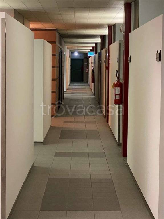 immagine annuncio 9 di 14