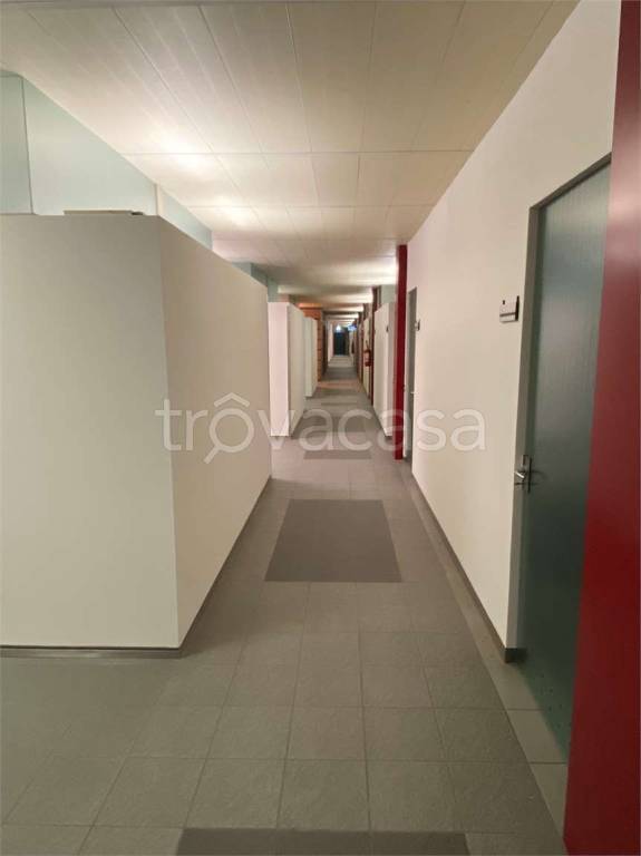 immagine annuncio 10 di 14