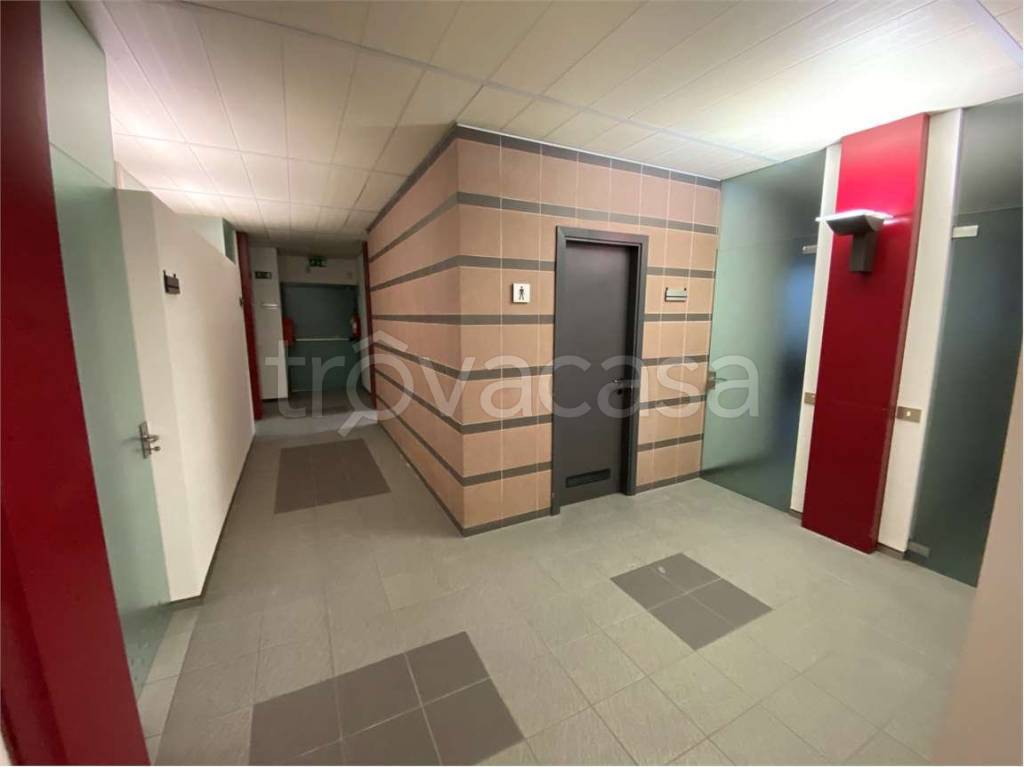 immagine annuncio 11 di 14