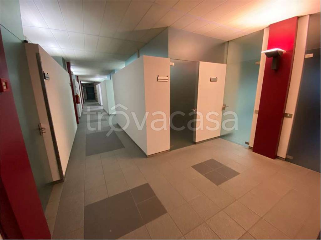 immagine annuncio 12 di 14