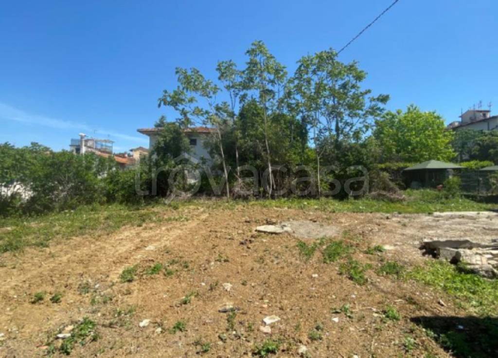 immagine annuncio 9 di 11