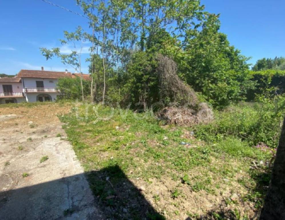 immagine annuncio 10 di 11