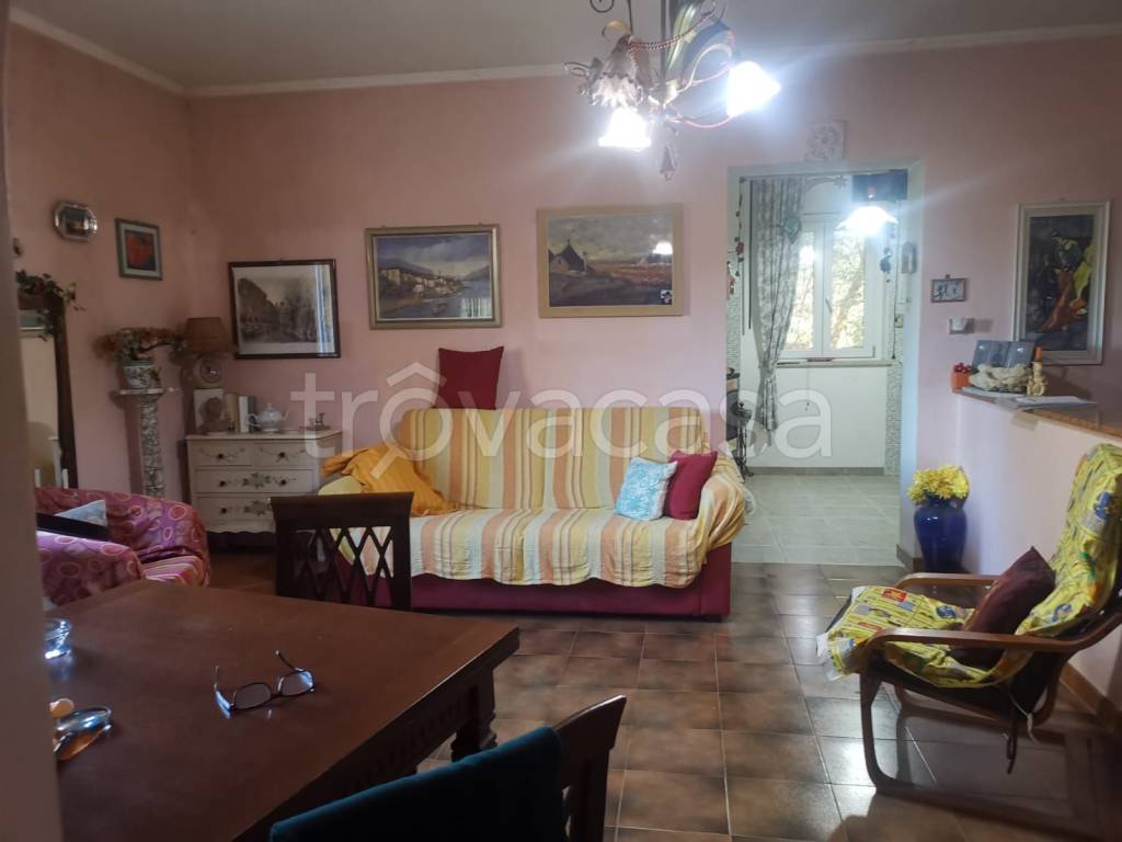 immagine annuncio 3 di 9