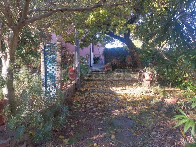 immagine annuncio 5 di 9