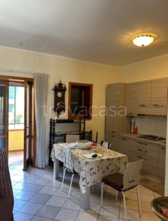 immagine annuncio 6 di 11