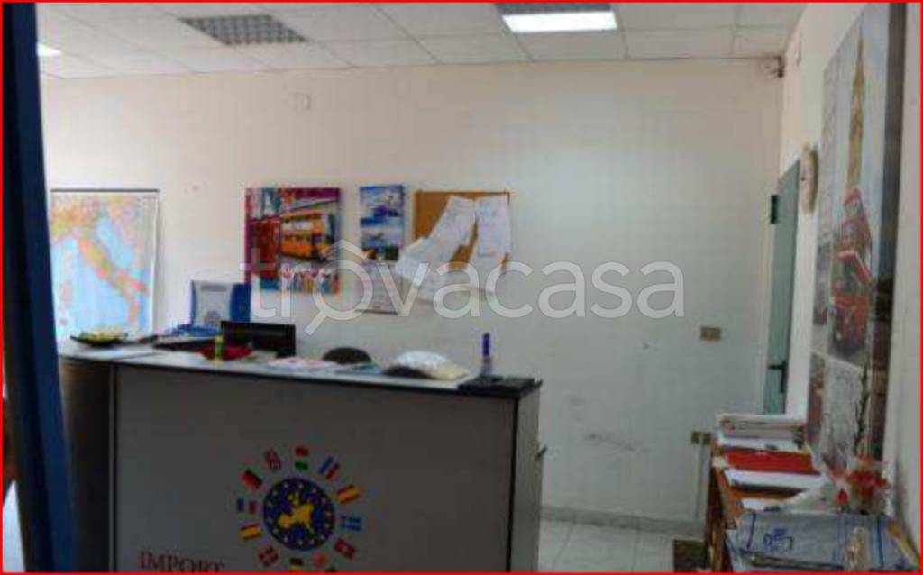 immagine annuncio 2 di 12