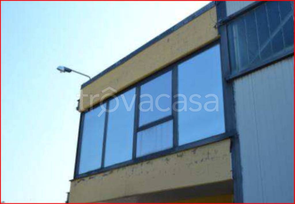 immagine annuncio 9 di 12