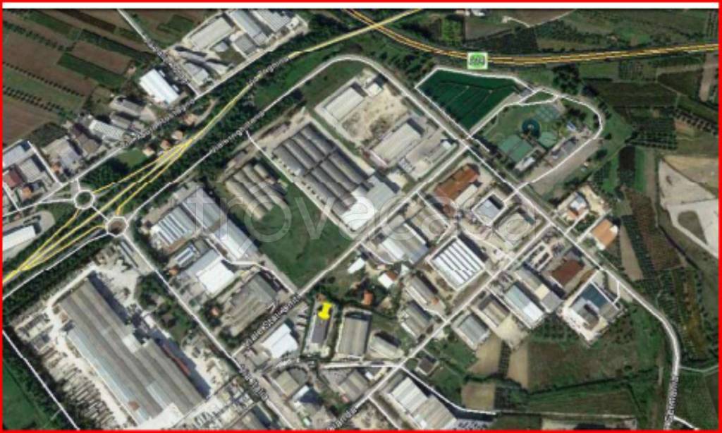 immagine annuncio 11 di 12