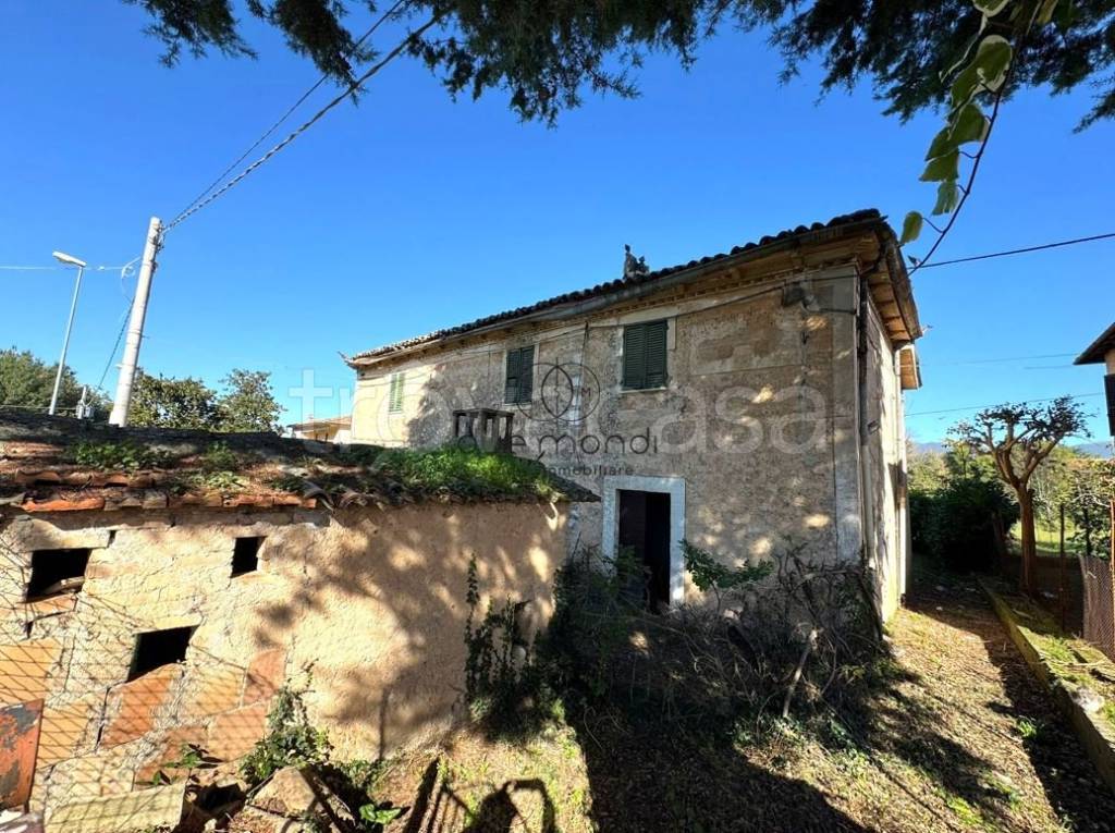 immagine annuncio 4 di 8