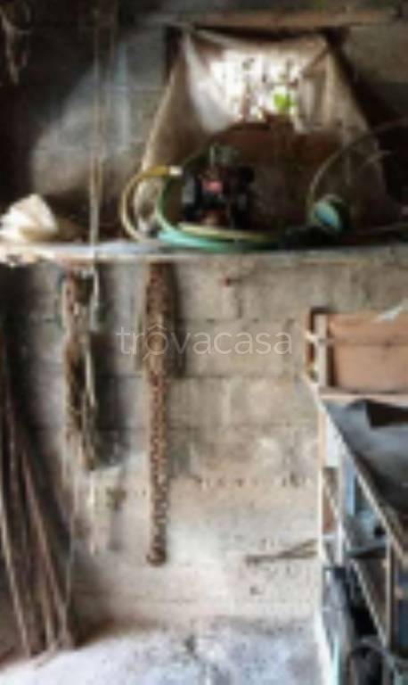 immagine annuncio 3 di 12