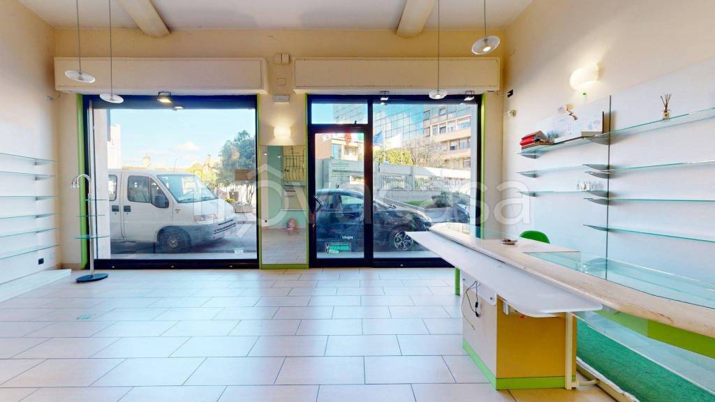 immagine annuncio 3 di 14