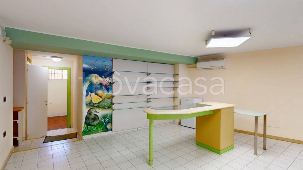 immagine annuncio 6 di 14