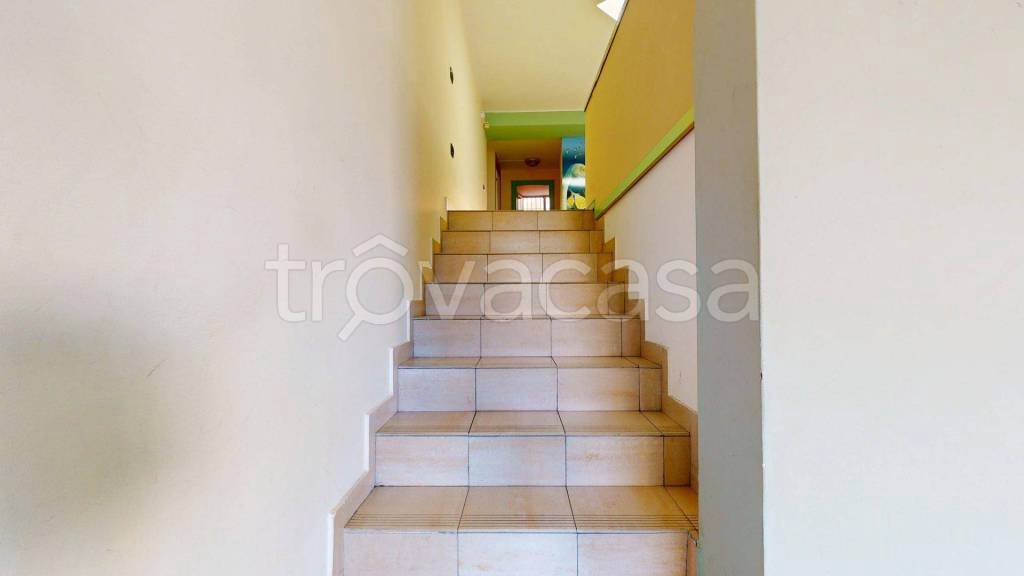 immagine annuncio 7 di 14