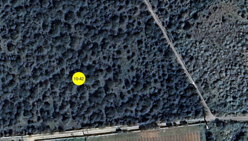 immagine annuncio 4 di 11