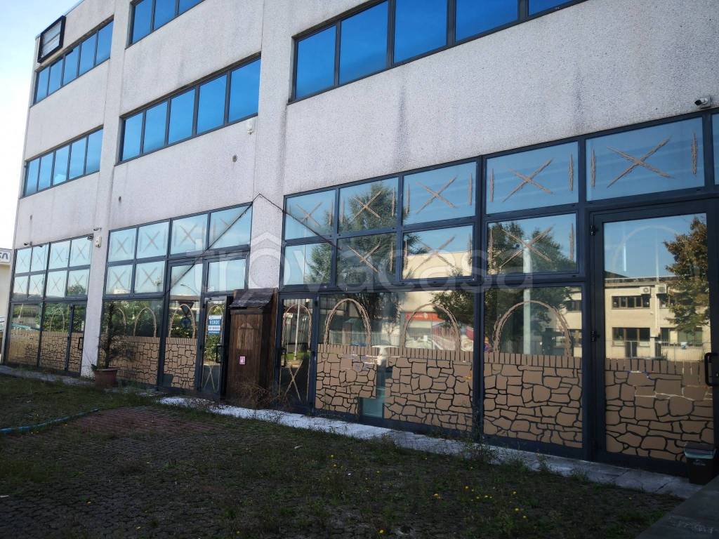 immagine annuncio 2 di 9