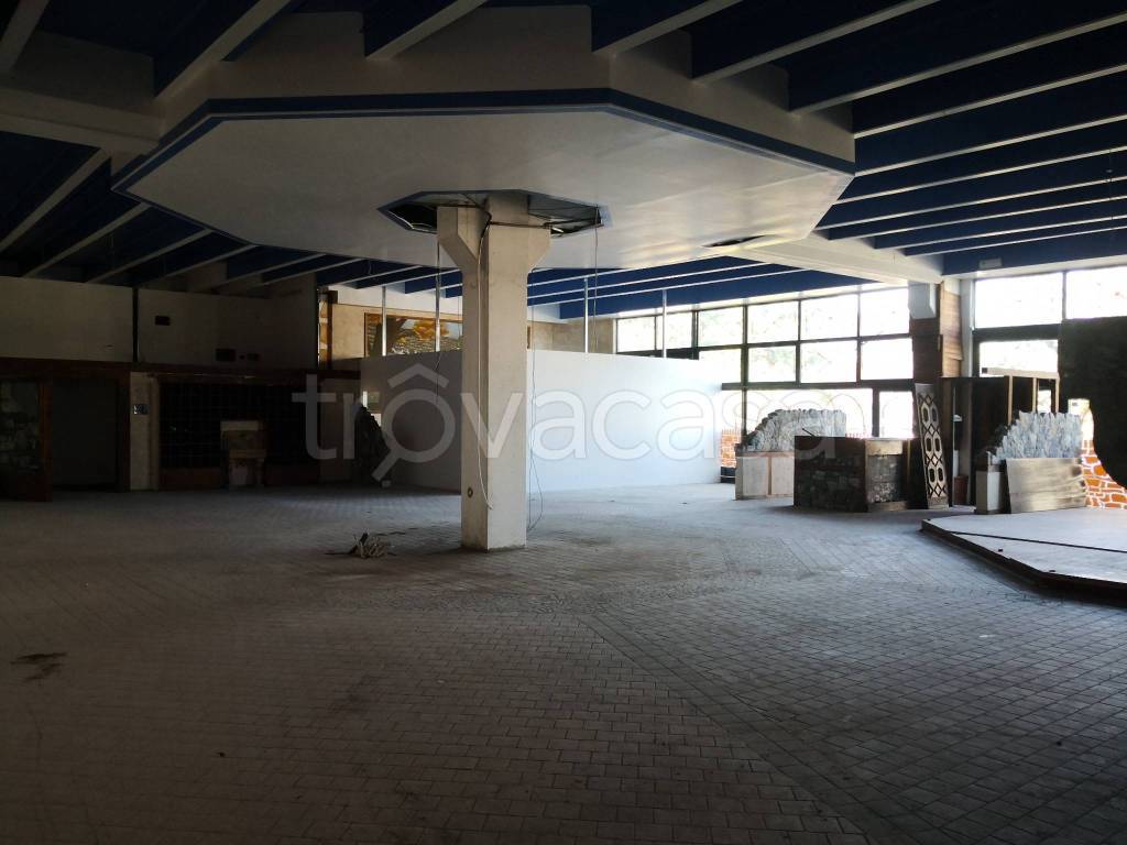 immagine annuncio 3 di 9