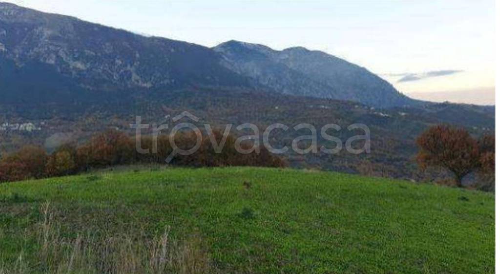 immagine annuncio 9 di 12