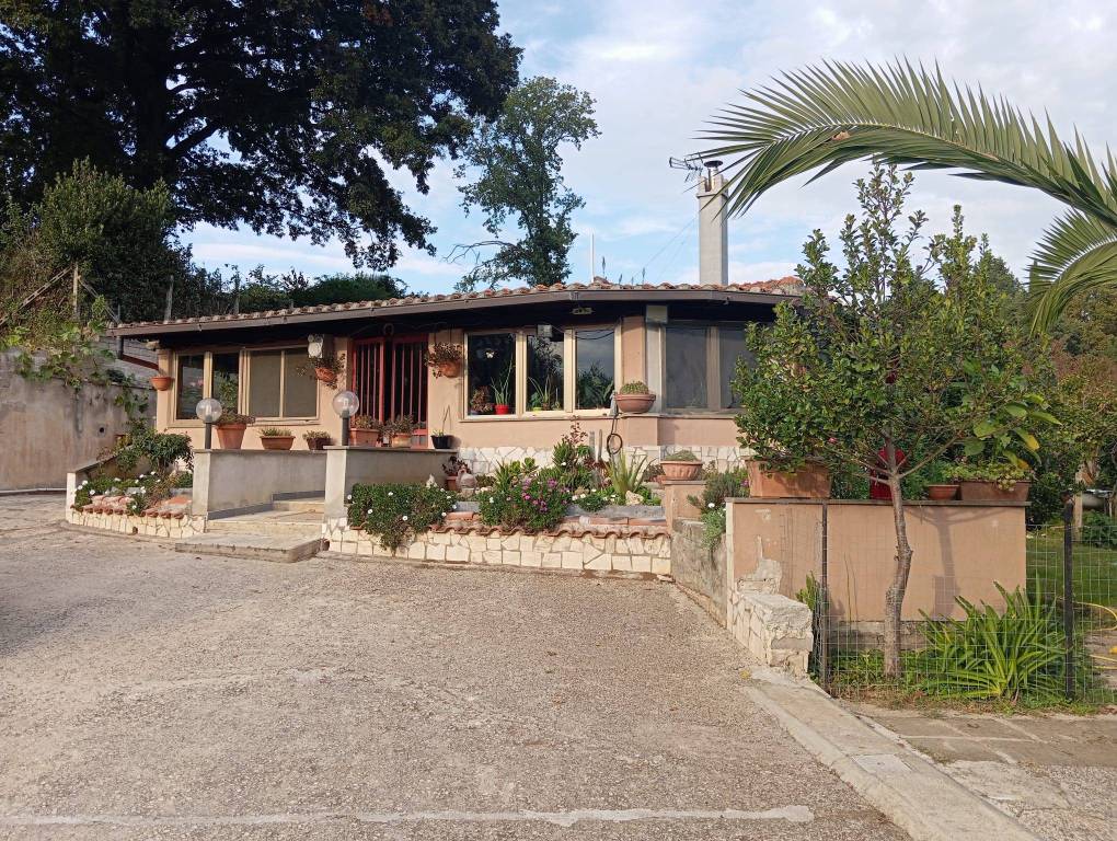 immagine annuncio 1 di 9