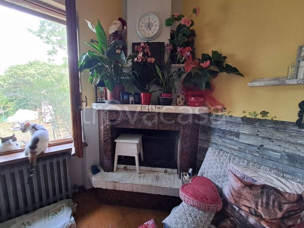 immagine annuncio 1 di 14