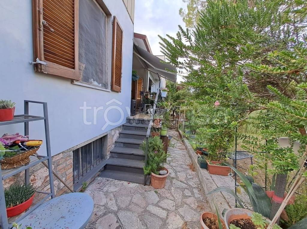 immagine annuncio 10 di 14