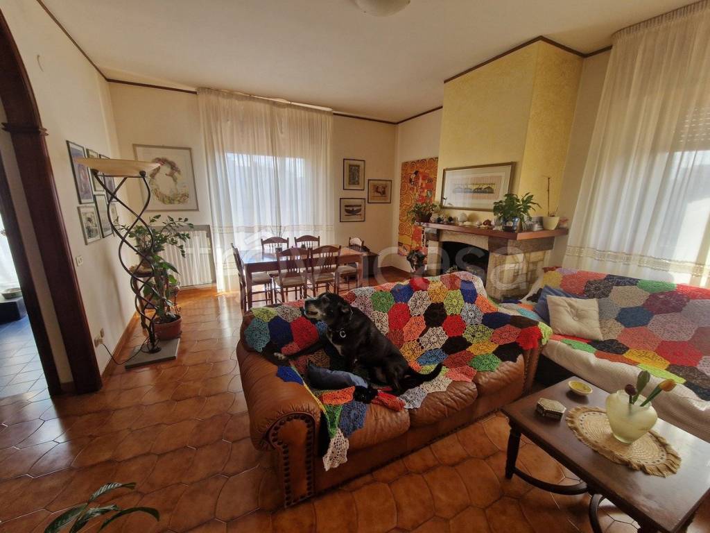 immagine annuncio 5 di 15