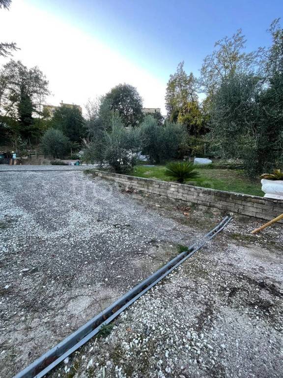 immagine annuncio 7 di 11