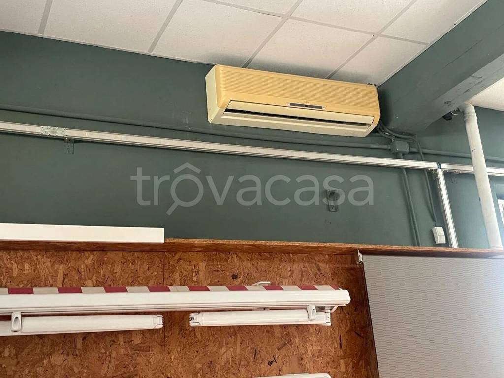 immagine annuncio 6 di 12